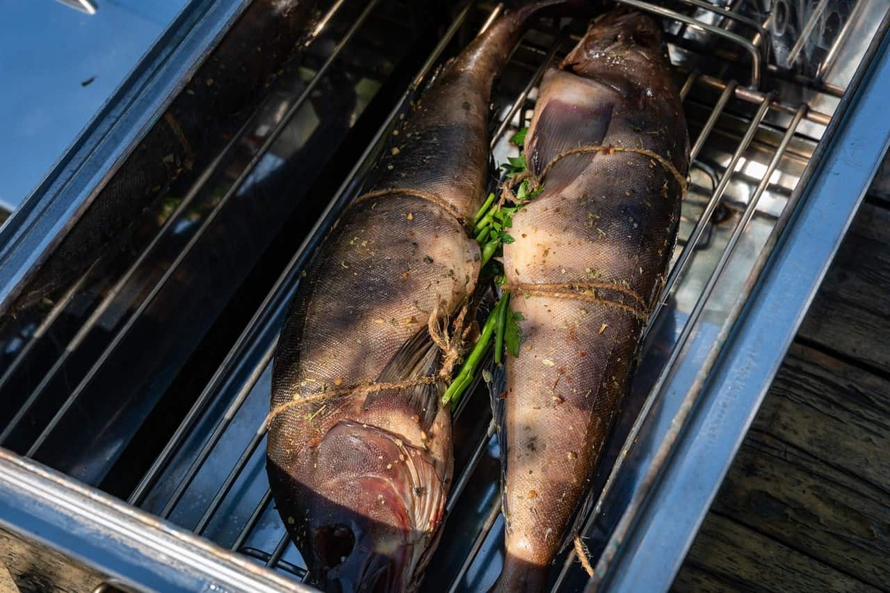 HowTo Guide for Smoking Fish in an Electric Smoker Backyard Bella